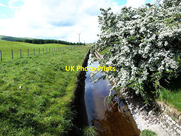 Photo 6"x4" Leat feeding Gladhouse Reservoir Tweeddaleburn\/NT2752 c2014