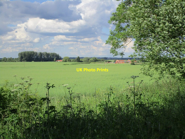 Photo 6"x4" View towards Ellicar House and Woodlands Farm Gringley on the Hill c2014