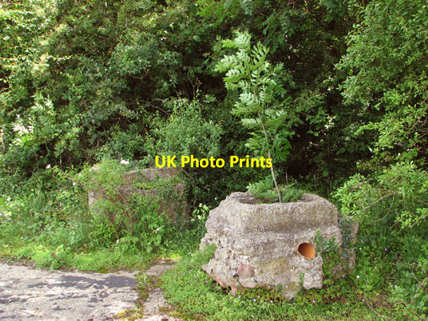 Photo 6"x4" Track into Honeypot Wood High Green\/TF9214 c2014