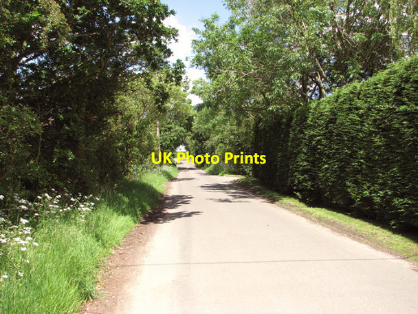 Photo 6"x4" Approaching Hoe Road from Chapel Road Longham\/TF9415 c2014