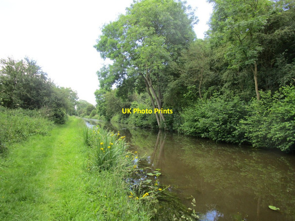 Photo 6"x4" The Chesterfield Canal Everton\/SK6991 c2014