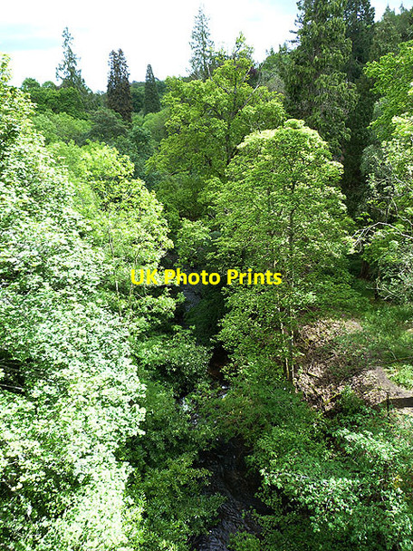 Photo 6"x4" Gorge of the South Esk Temple\/NT3158 c2014