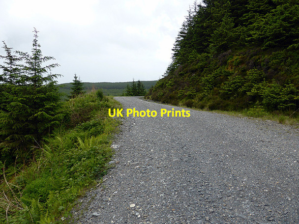 Photo 6"x4" Road in the Moel y Llyn forestry Llwyngwinau c2014