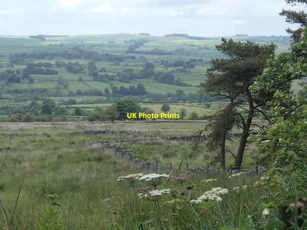 Photo 6"x4" Rough farmland near Hayes Hayes\/SK0860 c2014
