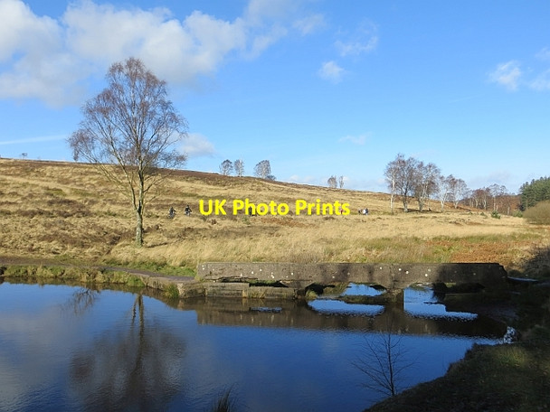 Photo 6"x4" Pond, Sherbrooke Valley Pye Green c2014