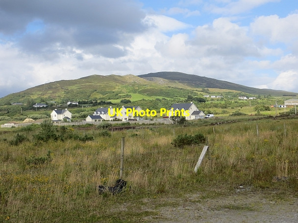 Photo 6"x4" Scrub and new houses Buncrana c2013