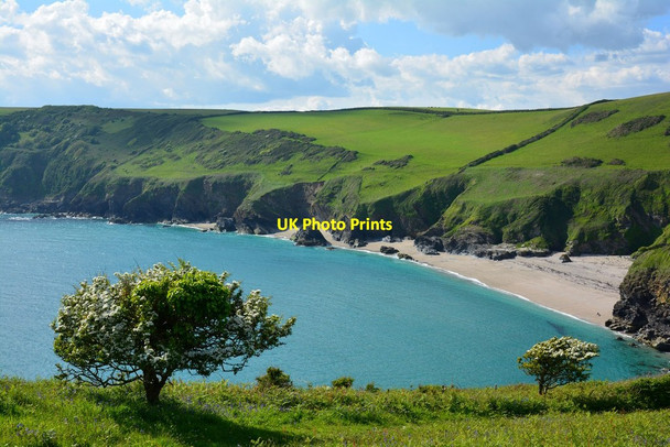 Photo 6"x4" Lantic Bay in May near Polruan, Cornwall Fowey c2014