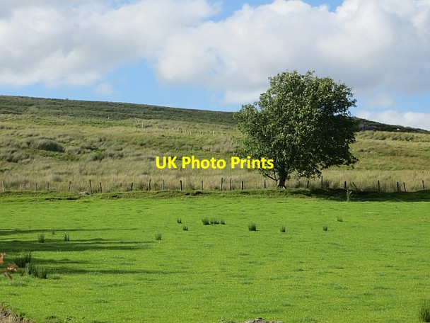 Photo 6"x4" Pasture, Upper Illes Glentogher c2013