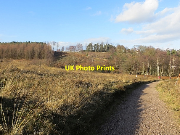 Photo 6"x4" Fairoak Valley Pye Green c2014