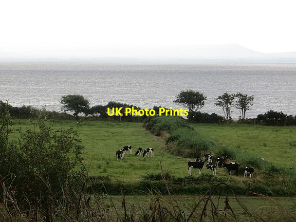 Photo 6"x4" Near Whitecastle Quigley's Point c2013