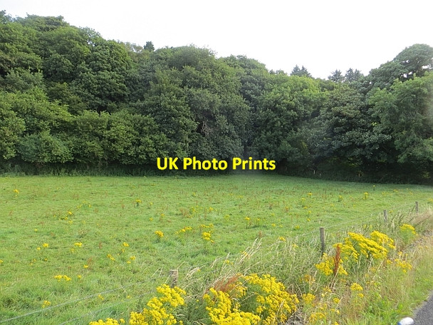 Photo 6"x4" Field, Ballyargus Redcastle\/C5535 c2013