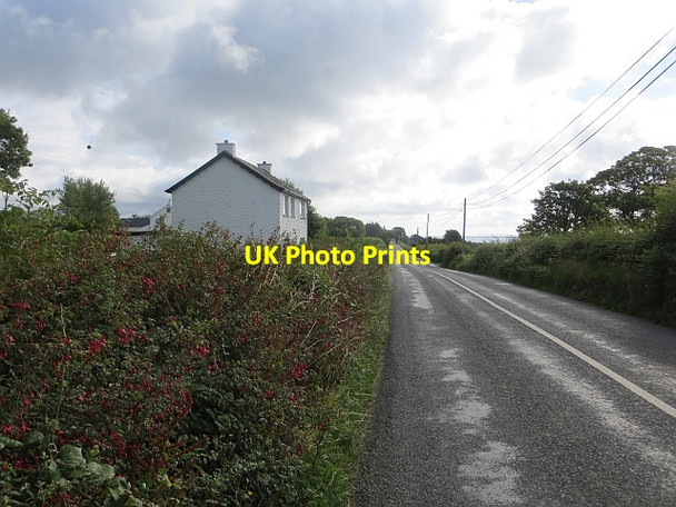 Photo 6"x4" R238, Claggan Moville c2013