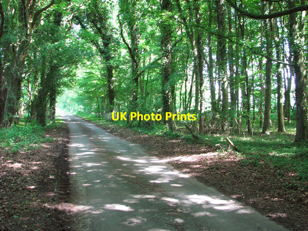 Photo 6"x4" View along The Broadway Frans Green c2014