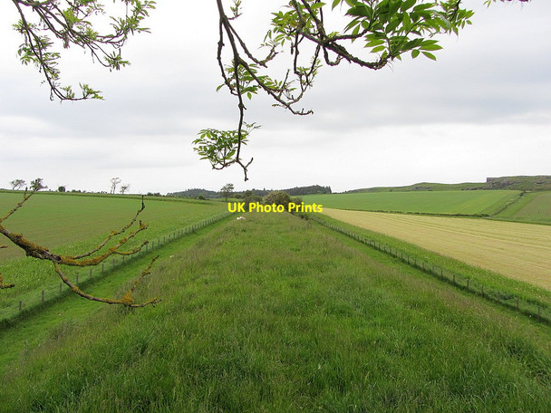 Photo 6"x4" Dismantled Rothbury Railway west of Rothley Crags Scots' Gap c2014