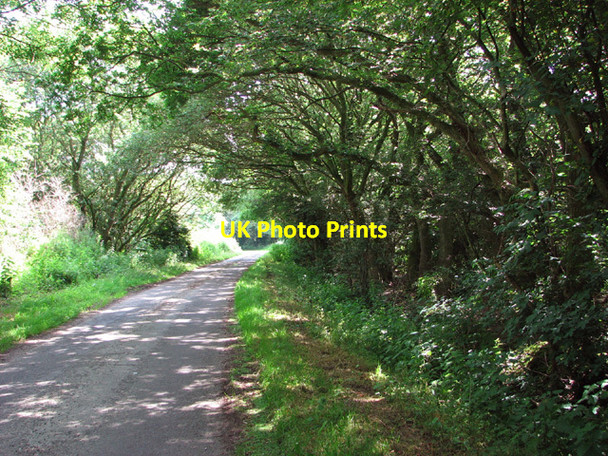 Photo 6"x4" View along Hungate Common Greensgate c2014