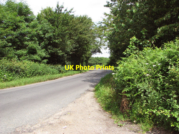 Photo 6"x4" View along Honingham Lane Weston Longville c2014