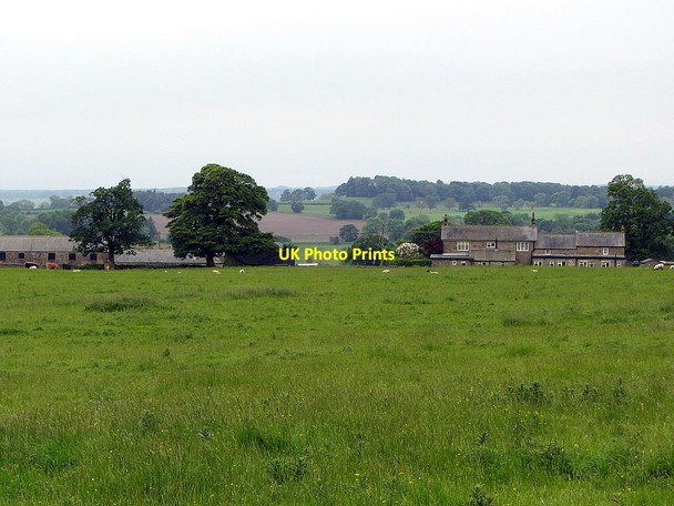 Photo 6"x4" Tut Hill from the north Scots' Gap c2014