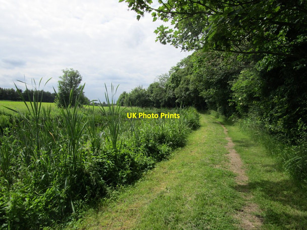 Photo 6"x4" Towpath alongside Barnby Fox Covert Barnby Moor c2014
