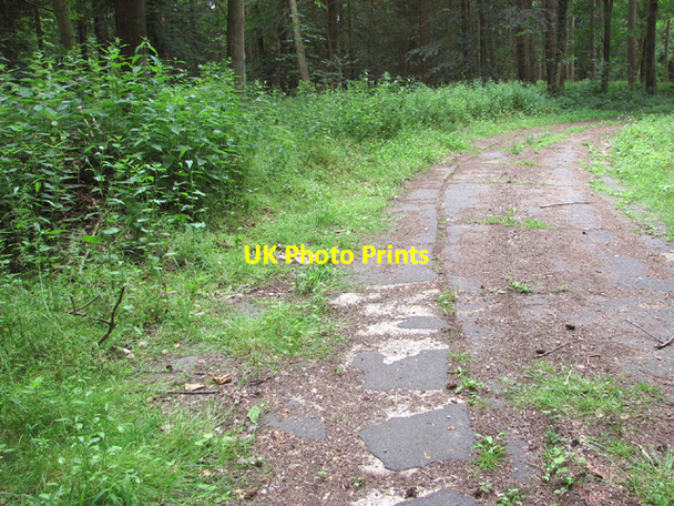 Photo 6"x4" Concreted track through Hockering Wood Hockering c2014
