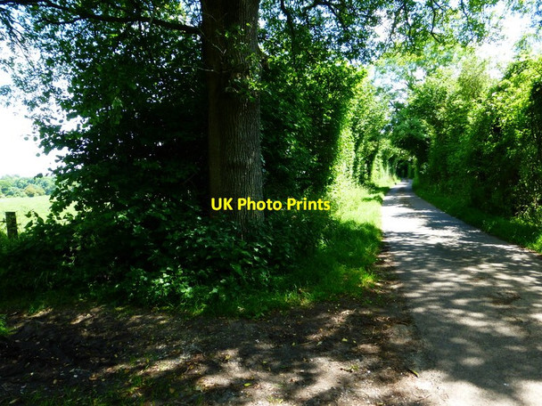 Photo 6"x4" Looking east on Peake New Road Exton\/SU6121 c2014