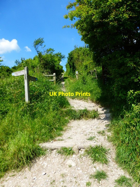 Photo 6"x4" Bridleway changes direction to ascend Old Winchester Hill Coombe\/SU6620 c2014