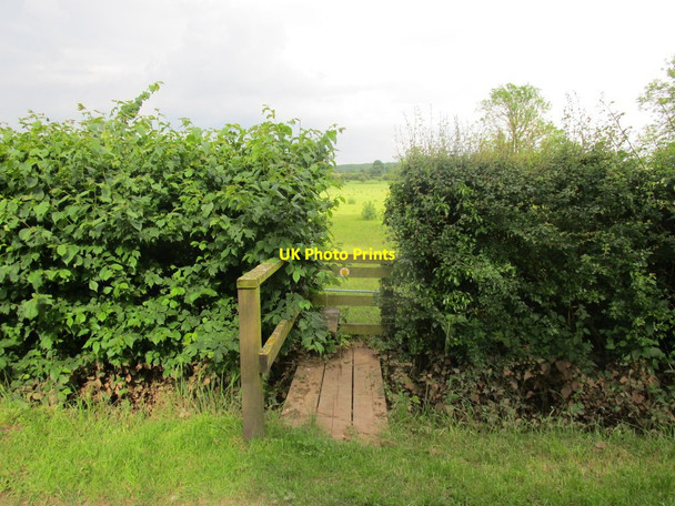 Photo 6"x4" Footbridge and stile on the footpath to Little Gringley Retford c2014