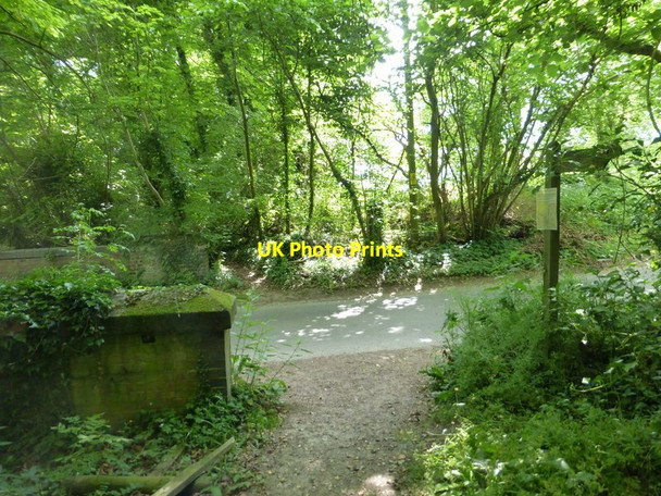 Photo 6"x4" Footpath reaches Hayden Lane Warnford c2014