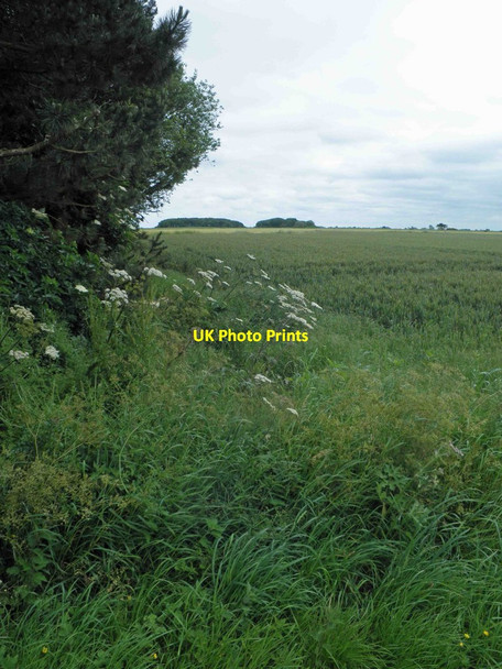 Photo 6"x4" Farmland near Sea Farm Grainthorpe c2014