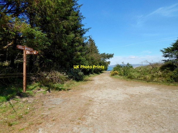 Photo 6"x4" Path to Goukhill Muir Arden\/NS3684 c2014