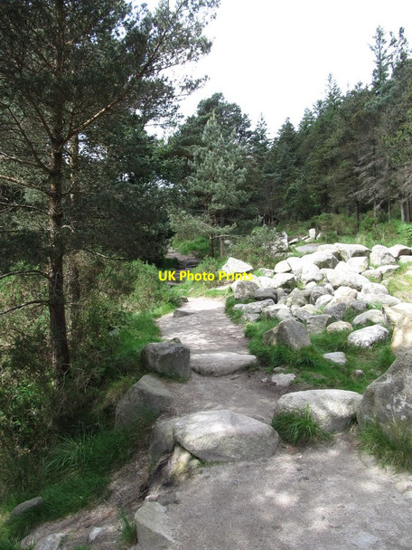 Photo 6"x4" The Slieve Donard Trail above Sonny's Bridge Newcastle\/J3732 c2014