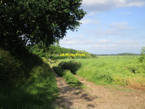 Photo 6"x4" Approaching Saundby Park Farm Saundby c2014