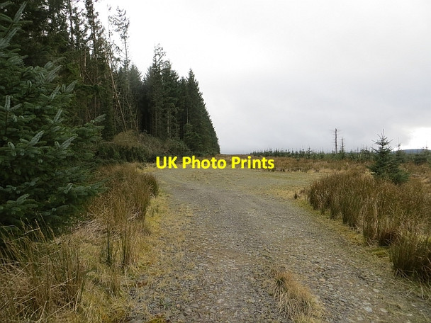 Photo 6"x4" Road end Southdean c2014