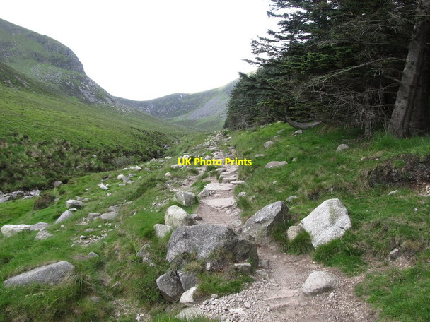 Photo 6"x4" The Slieve Donard Trail just above the mountain gate Newcastle\/J3732 c2014