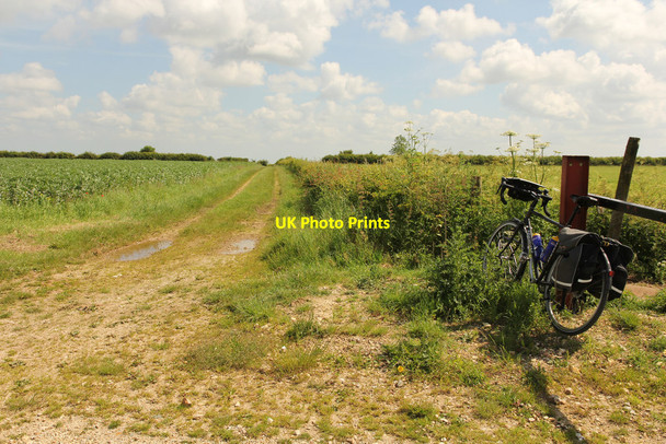 Photo 6"x4" Lindsey Trail Stenigot c2014