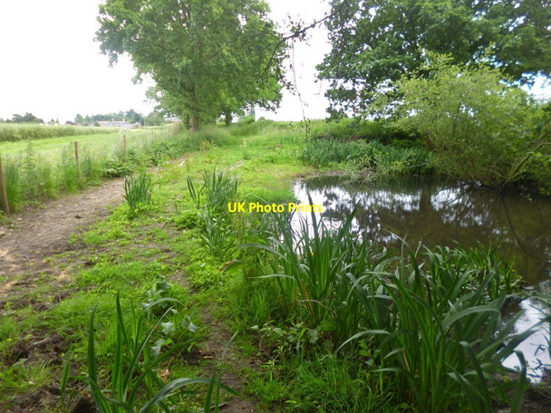 Photo 6"x4" Holt, pond Gaunt's Common c2014