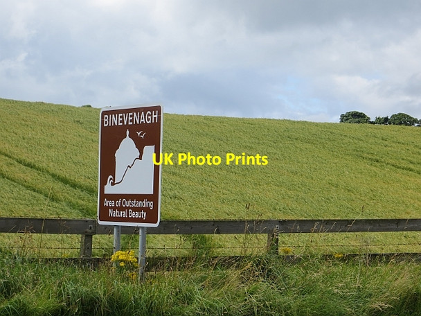 Photo 6"x4" Barley above Castle Rock Milltown\/C7534 c2013