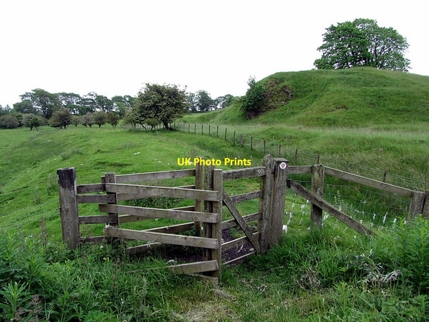 Photo 6"x4" Wannie Line Walk near Rugley Walls Cambo\/NZ0285 c2014