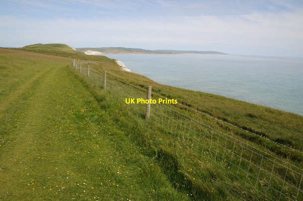 Photo 6"x4" Above the cliffs, West High Down Totland c2014