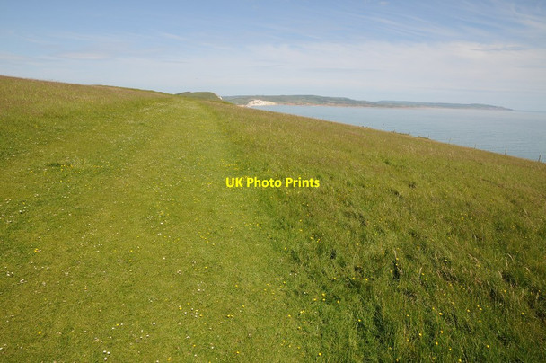 Photo 6"x4" West High Down Totland c2014