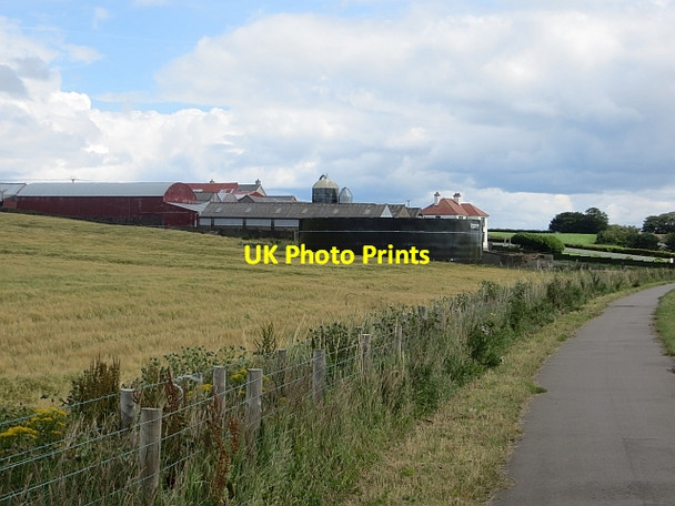 Photo 6"x4" Cycle path, Quilly Road Coleraine c2013