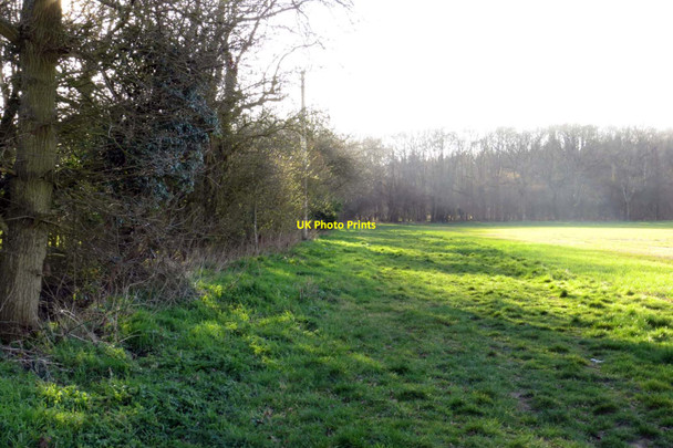 Photo 6"x4" Footpath to Long Hanborough Bladon c2014