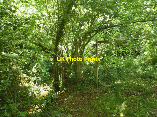 Photo 6"x4" Public footpath 9W changes direction Crabbet Park c2014