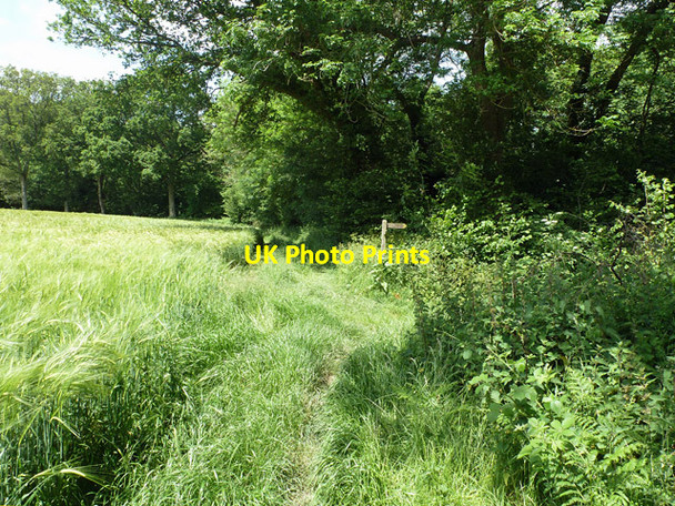 Photo 6"x4" Public footpath 9W changes direction Crabbet Park c2014