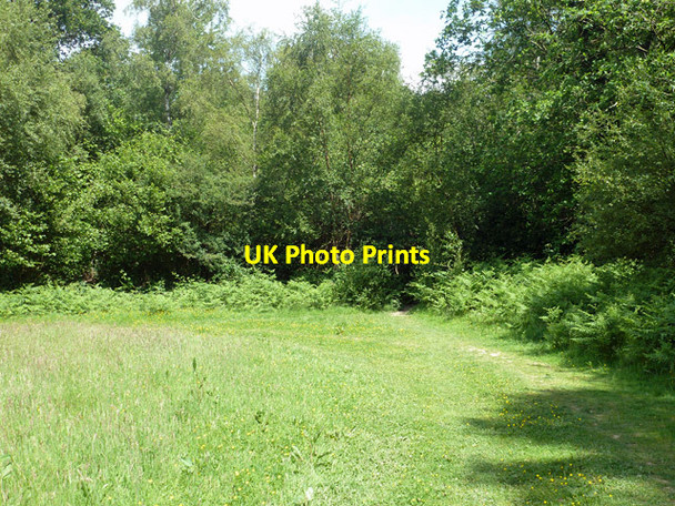 Photo 6"x4" Public footpath 9W Copthorne\/TQ3139 c2014
