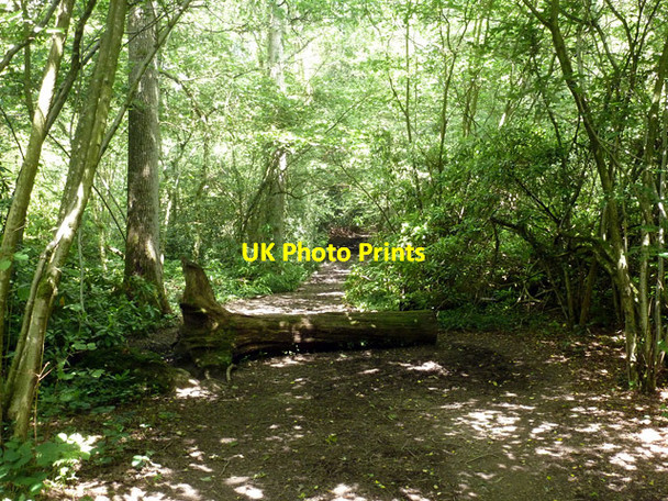 Photo 6"x4" Public footpath 9W Copthorne\/TQ3139 c2014