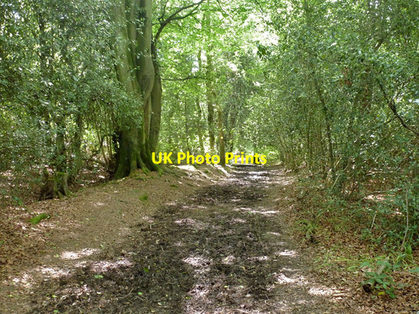 Photo 6"x4" Public footpath 9W Copthorne\/TQ3139 c2014 P1