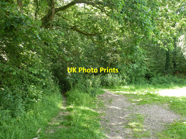 Photo 6"x4" Public footpath 9W Copthorne\/TQ3139 c2014