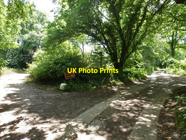 Photo 6"x4" Path junction at edge of Copthorne Common Copthorne\/TQ3139 c2014