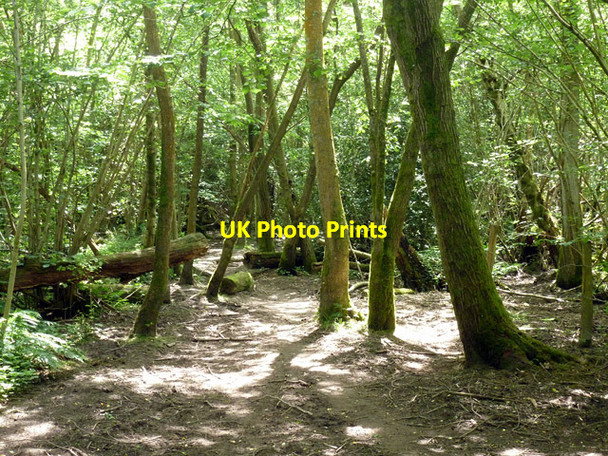 Photo 6"x4" Public footpath 10W Copthorne\/TQ3139 c2014 P1