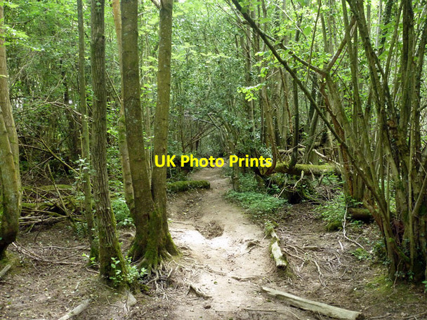 Photo 6"x4" Public footpath 10W Copthorne\/TQ3139 c2014 P2